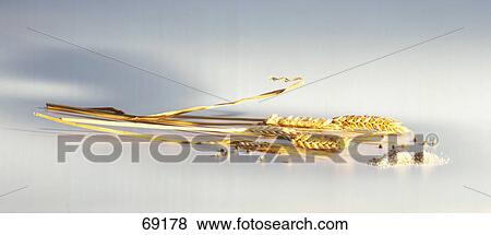 Close-up of wheat grains View Large Photo Image Stock Photo - Close-up of wheat grains . Fotosearch