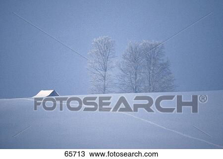 Cottage and trees on snowcovered landscape, Black Forest, Germany View Large Photo Image Stock Image - Cottage and trees on snowcovered landscape, Black Forest, Germany . Fotosearch