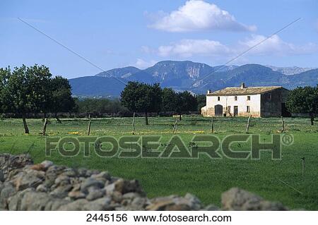 Cottage in field, Tramuntana, Majorca, Balearic Islands, Spain View Large Photo Image Stock Photograph - Cottage in field, Tramuntana, Majorca, Balearic Islands, Spain . Fotosearch