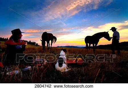 Couple enjoying in field with their pets View Large Photo Image Stock Image - Couple enjoying in field with their pets . Fotosearch