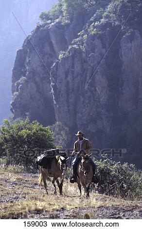 Cowboy horseback riding, Mexico View Large Photo Image Stock Image - Cowboy horseback riding, Mexico . Fotosearch