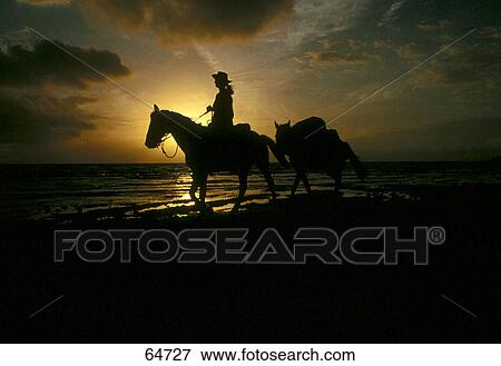 Cowboy riding horse at dusk View Large Photo Image Stock Photo - Cowboy riding horse at dusk . Fotosearch