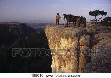 Cowboy standing with horses on cliff, Mexico View Large Photo Image Stock Image - Cowboy standing with horses on cliff, Mexico . Fotosearch