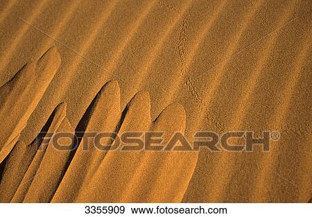 Desert Namib, Namibia, Africa View Large Photo Image Stock Photo - Desert Namib, Namibia, Africa . Fotosearch