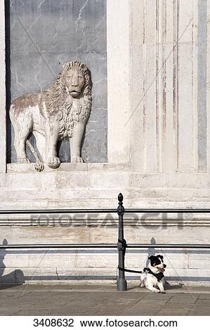 Stock Image - Dog tied to a post, Venice, Italy . Fotosearch