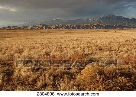 Dry grass in field with mountain range in background, Great Sand Dunes National Park, Colorado, USA View Large Photo Image Stock Photo - Dry grass in field with mountain range in background, Great Sand Dunes National Park, Colorado, USA . Fotosearch