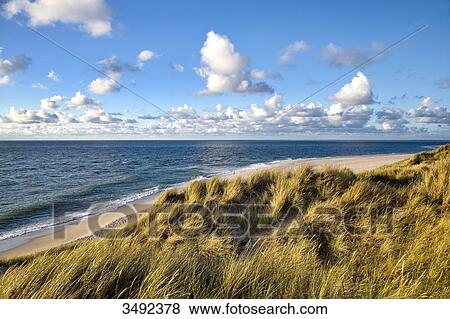 Stock Photo - Dunes and coast, Ellenbogen, Sylt, Germany, elevated view . Fotosearch