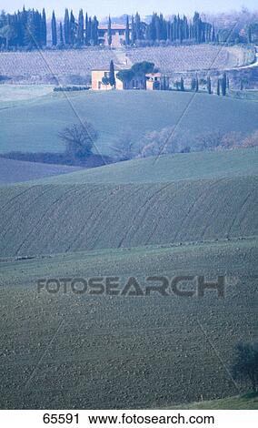 Farm house on landscape, Sienna, Tuscany, Italy View Large Photo Image Stock Image - Farm house on landscape, Sienna, Tuscany, Italy . Fotosearch