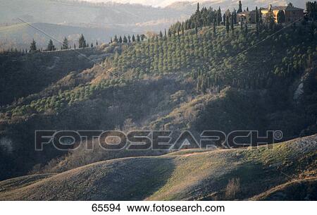 Picture - Farm on hills, Sienna hill, Sienna, Tuscany, Italy . Fotosearch