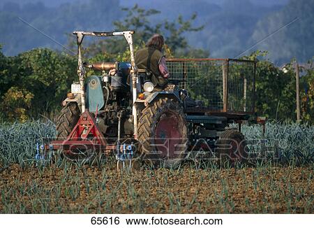 Stock Photograph - Farmer harvesting in field, Germany . Fotosearch