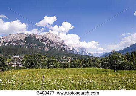 Flower meadow, mountains and city in the background, Cortina d Ampezzo, Venetia, Italy View Large Photo Image Stock Photo - Flower meadow, mountains and city in the background, Cortina d Ampezzo, Venetia, Italy . Fotosearch