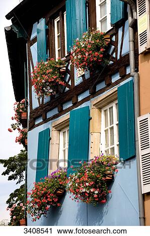 Stock Image - Flowers blooming in flower boxes at the windows of a house, Petite Venise, Colmar, France, low angle view . Fotosearch