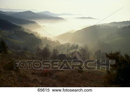 Fog over valley, Black Forest, Baden-Wuerttemberg, Germany View Large Photo Image Stock Photography - Fog over valley, Black Forest, Baden-Wuerttemberg, Germany . Fotosearch