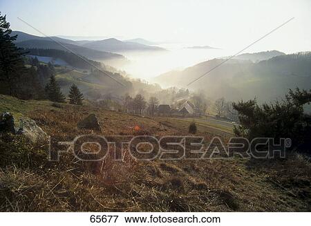 Fog over valley, Exental, Black Forest, Baden-Wuerttemberg, Germany View Large Photo Image Stock Photo - Fog over valley, Exental, Black Forest, Baden-Wuerttemberg, Germany . Fotosearch