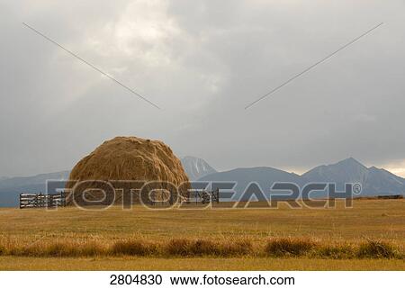 Stock Image - Hay stack in field, Big Hole Valley, Montana, USA . Fotosearch