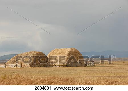 Stock Image - Heap of straw crop in field, Big Hole Valley, Montana, USA . Fotosearch