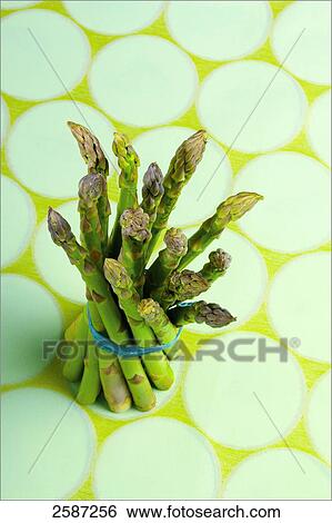 High angle view of a bundle of asparagus View Large Photo Image Stock Photograph - High angle view of a bundle of asparagus . Fotosearch