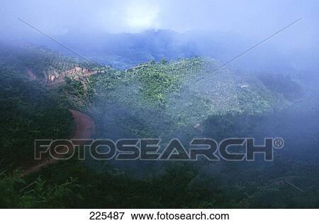 Stock Photo - High angle view of forest covered with fog, Guatemala, Mexico . Fotosearch