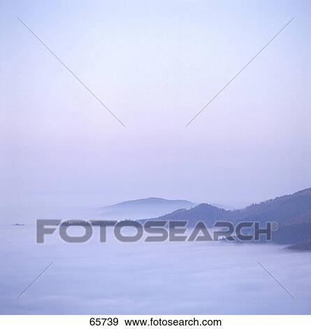 Stock Photo - High angle view of forest covered with fog, Black Forest, Germany . Fotosearch