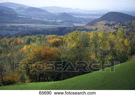 Stock Image - High angle view of forest, Markgraeflerland, Black Forest, Baden-Wuerttemberg, Germany . Fotosearch