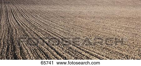 Stock Image - High angle view of furrows in field . Fotosearch