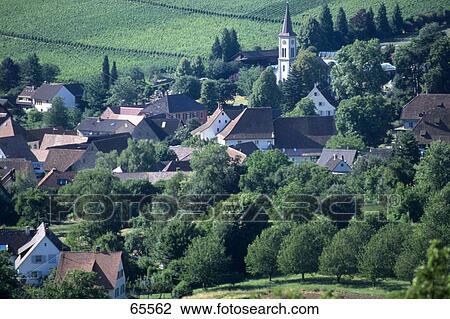 High angle view of houses near vineyard, Baden- Wuerttemberg, Germany View Large Photo Image Stock Image - High angle view of houses near vineyard, Baden- Wuerttemberg, Germany . Fotosearch