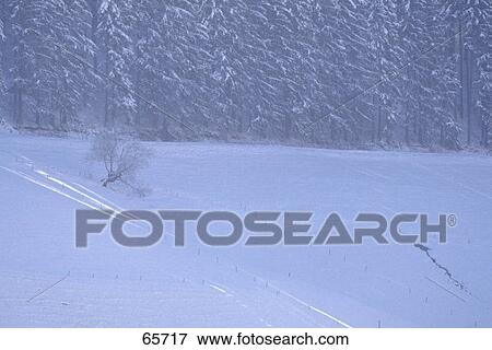 Stock Photo - High angle view of ski track on snowcovered slope, St. Maergen, Black Forest, Germany . Fotosearch
