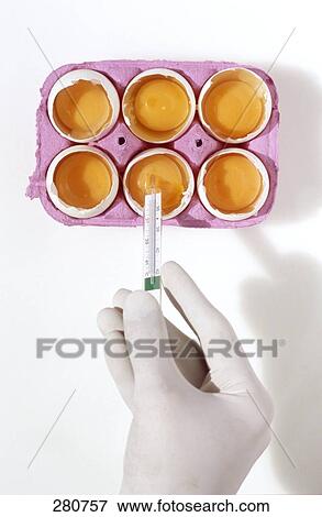 Stock Photo - High angle view of thermometer and broken eggs . Fotosearch