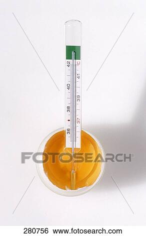 High angle view of thermometer and broken egg View Large Photo Image Stock Photograph - High angle view of thermometer and broken egg . Fotosearch