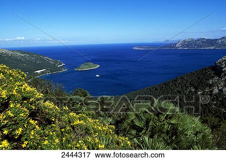 Stock Photo - High angle view of trees on cape, Cap de Formentor, Mallorca, Balearic Islands, Spain . Fotosearch