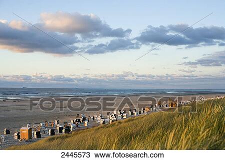 Hooded beach chairs on beach, Spiekeroog, East Frisian Islands, Lower Saxony, Germany View Large Photo Image Stock Image - Hooded beach chairs on beach, Spiekeroog, East Frisian Islands, Lower Saxony, Germany . Fotosearch
