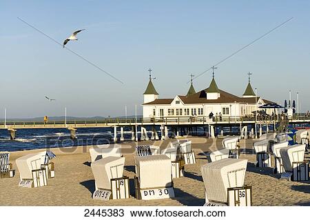 Stock Image - Hooded beach chairs on beach with pier in background, Ahlbeck, Usedom, Mecklenburg-West Pomerania, Germany . Fotosearch