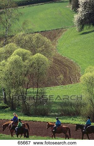 Horse riders in field, Markgraeflerland, Baden-Wuerttemberg, Germany View Large Photo Image Stock Photo - Horse riders in field, Markgraeflerland, Baden-Wuerttemberg, Germany . Fotosearch