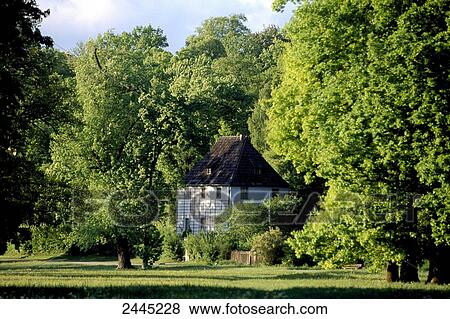 House surrounded by trees, Goethes Gartenhaus, Weimar, Thuringia, Germany View Large Photo Image Stock Photo - House surrounded by trees, Goethes Gartenhaus, Weimar, Thuringia, Germany . Fotosearch