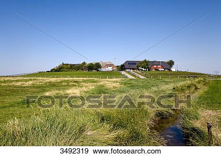 Stock Photo - Hunnenswarft, Hallig Langeness, Nordfriesland, Schleswig-Holstein, Germany . Fotosearch