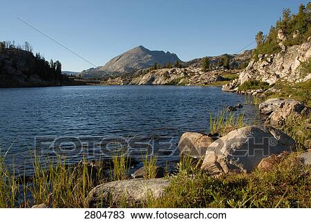 Lake in forest, Wind River Range, Wyoming, USA View Large Photo Image Stock Image - Lake in forest, Wind River Range, Wyoming, USA . Fotosearch