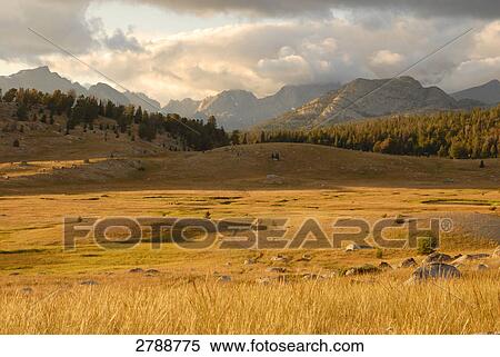 Stock Photography - Landscape with mountain range in background, Wind River Range, Fish Creek Park, Wyoming, USA . Fotosearch