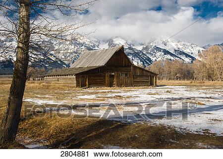 Log cabin in field with snowcapped mountains in background, Grand Teton, Grand Teton National Park, Wyoming, USA View Large Photo Image Stock Image - Log cabin in field with snowcapped mountains in background, Grand Teton, Grand Teton National Park, Wyoming, USA . Fotosearch