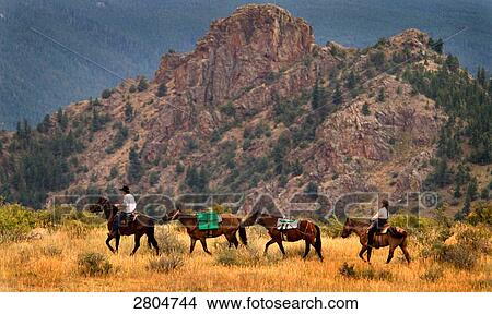 Picture - Man and woman riding horses in field, Poudre Canyon, Colorado, USA . Fotosearch