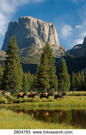 Man and woman riding horses in field, Wind River Range, Wyoming, USA View Large Photo Image Stock Image - Man and woman riding horses in field, Wind River Range, Wyoming, USA . Fotosearch