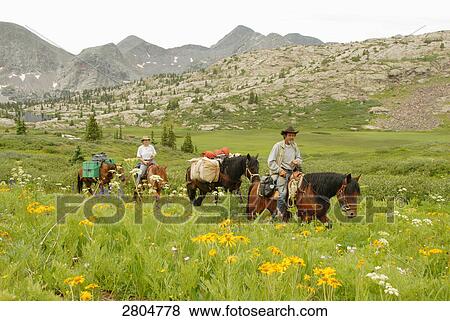 Man and woman riding horses in field, Weminuche Wilderniss, Colorado, USA View Large Photo Image Stock Photo - Man and woman riding horses in field, Weminuche Wilderniss, Colorado, USA . Fotosearch