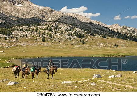 Stock Photo - Man and woman riding horses in field, Wind River Range, Wyoming, USA . Fotosearch