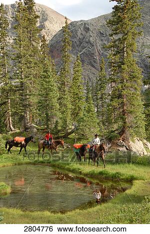 Man and woman riding horses in field, Weminuche Wilderniss, Colorado, USA View Large Photo Image Stock Photograph - Man and woman riding horses in field, Weminuche Wilderniss, Colorado, USA . Fotosearch