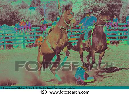 Man fell down from horse in rodeo, Esquel, Chubut Province, Patagonia, Argentina View Large Photo Image Stock Image - Man fell down from horse in rodeo, Esquel, Chubut Province, Patagonia, Argentina . Fotosearch