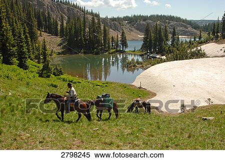Man riding horse at lakeside, Colorado, USA View Large Photo Image Stock Photography - Man riding horse at lakeside, Colorado, USA . Fotosearch
