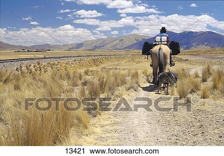 Man traveling on horseback in barren field, Peru View Large Photo Image Stock Image - Man traveling on horseback in barren field, Peru . Fotosearch