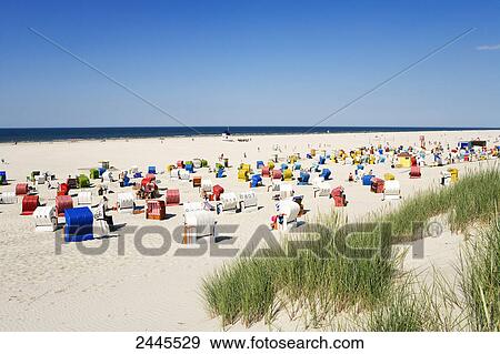 Stock Photo - Marram grass and empty hooded beach chairs on beach, Juist, Lower Saxony, Germany . Fotosearch