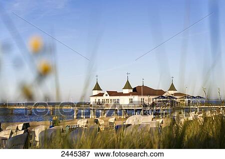 Marram grass and hooded beach chairs on beach with pier in background, Ahlbeck, Usedom, Mecklenburg-West Pomerania, Germany View Large Photo Image Stock Photo - Marram grass and hooded beach chairs on beach with pier in background, Ahlbeck, Usedom, Mecklenburg-West Pomerania, Germany . Fotosearch