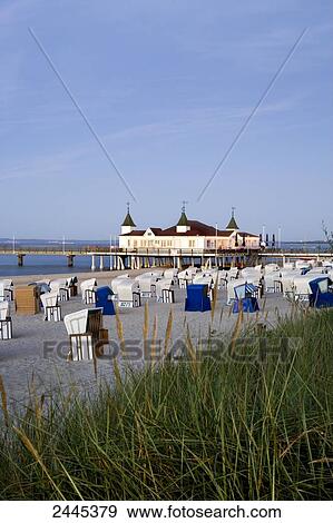 Stock Photo - Marram grass with hooded beach chairs on beach, Ahlbeck, Usedom, Mecklenburg-West Pomerania, Germany . Fotosearch