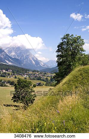 Stock Photograph - Meadow near Cortina d Ampezzo, Venetia, Italy . Fotosearch